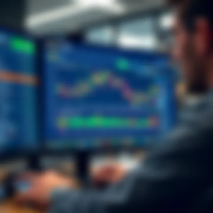 User reviewing Bitcoin Trader platform interface and features on a computer screen