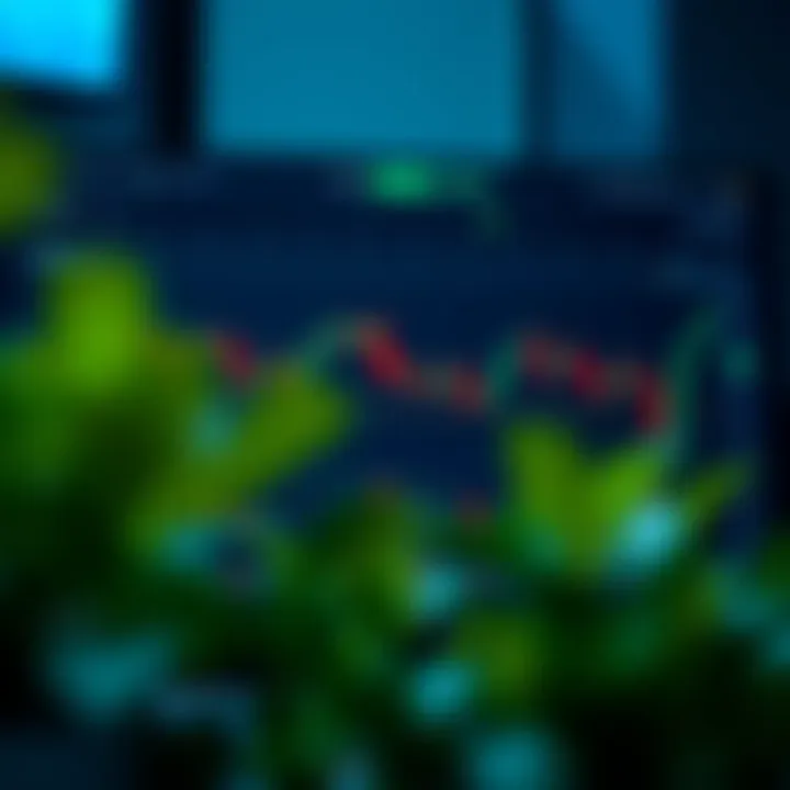 Deriv platform dashboard showcasing integrated TradingView tools for market monitoring and decision making