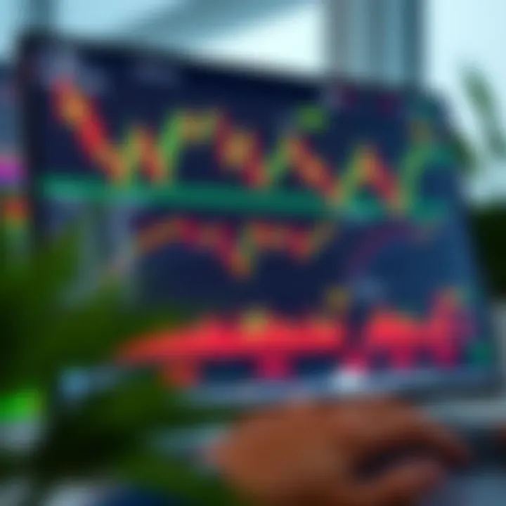 User interface of a trading platform showing charts and investment options